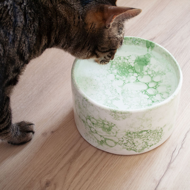 Cuenco elevado de cerámica para gatos - La Isleta - burbujas