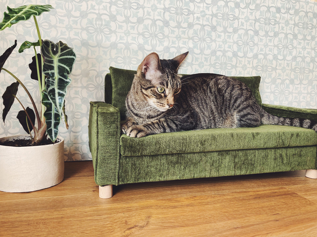 Sofá para gatos Misifú | Gatifica | verde