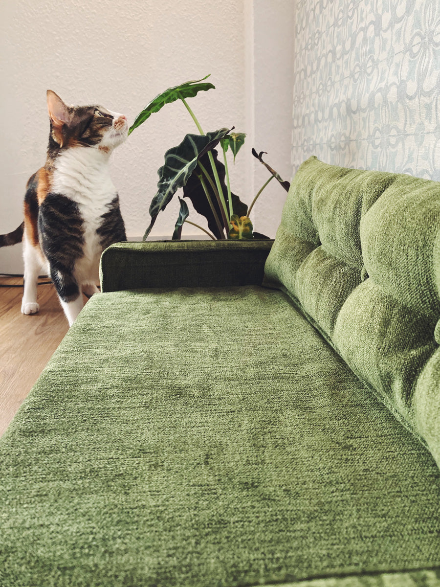 Sofá para gatos Misifú | Gatifica | verde