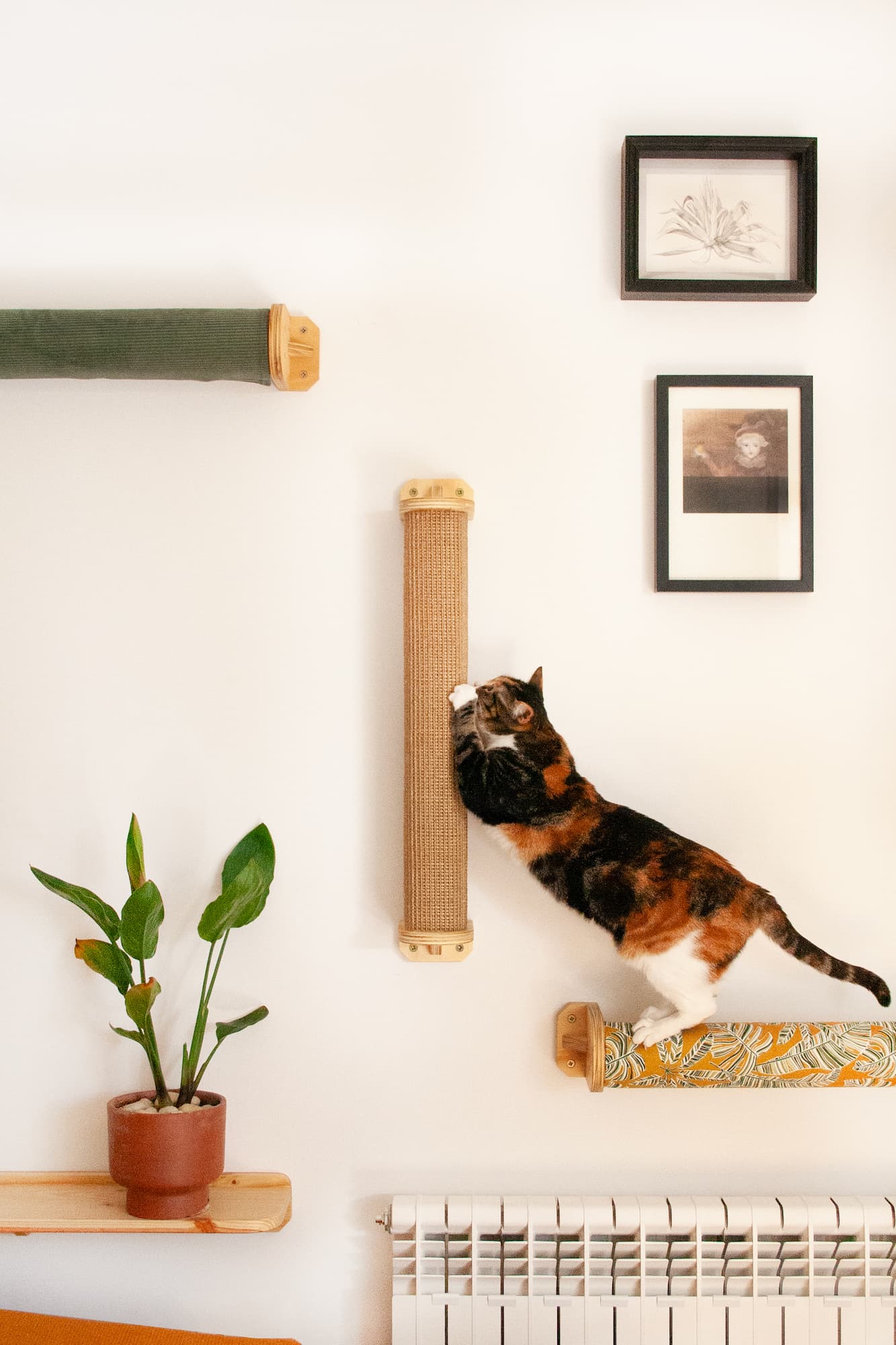 Gata usando un poste de rascado de pared llamado Rulo Koala, forrado de moqueta natural de sisal - Hecho a mano por Gatifica