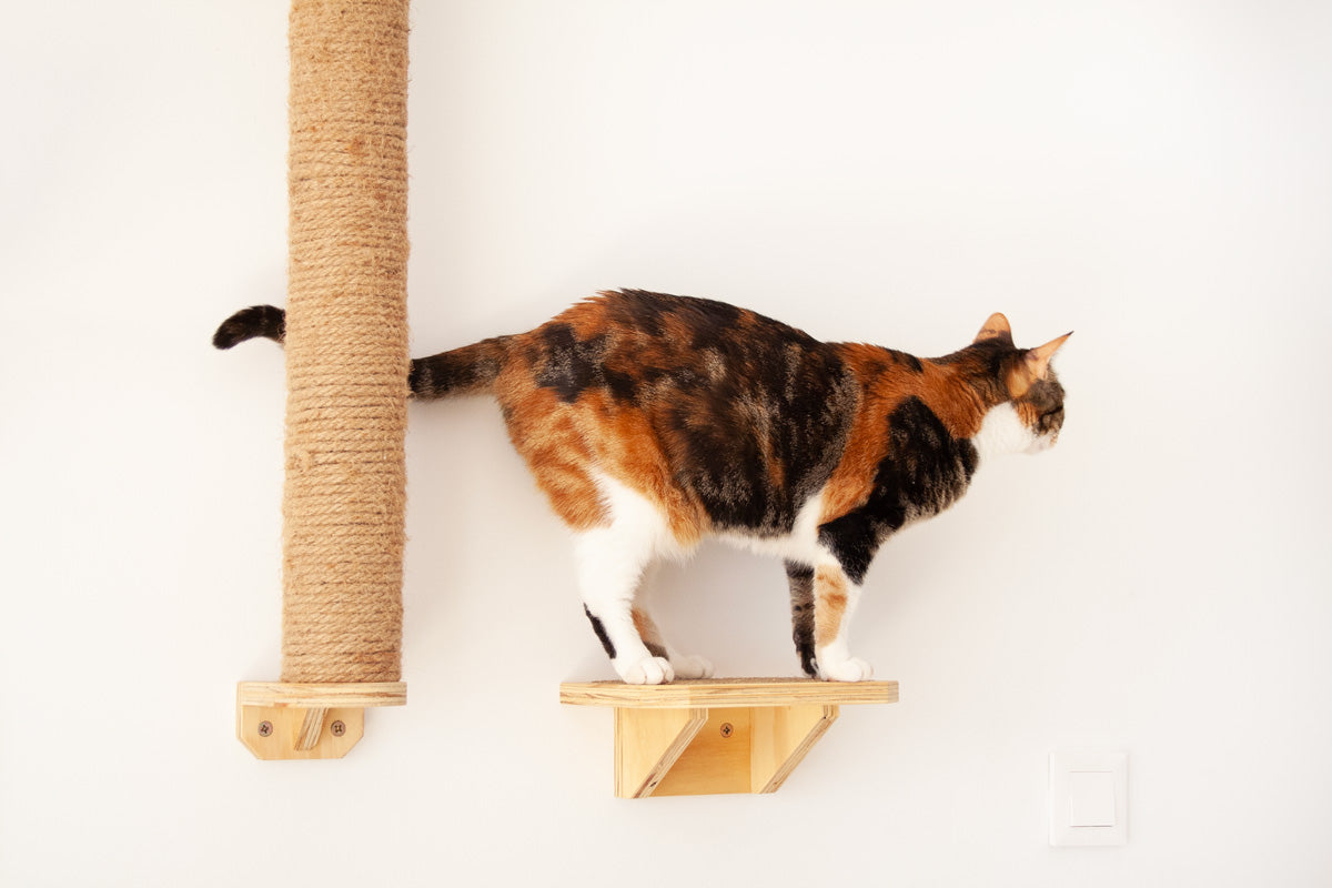 Escalón de madera para gatos - GARFIELD