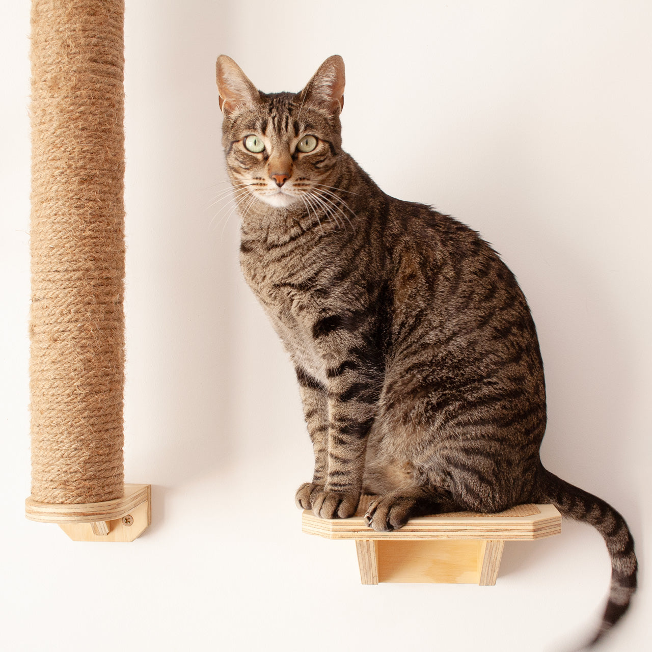 Escalón de madera para gatos - GARFIELD