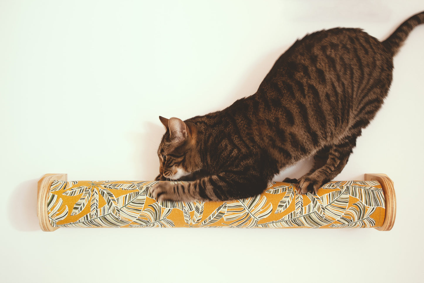 Fundas rulo CLEO gatifica - loneta estampada palmeras