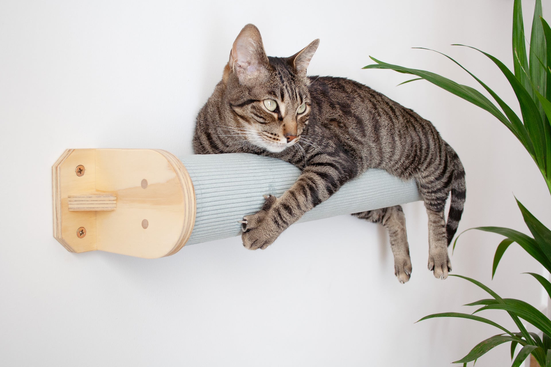 Cama de pared para gatos Rulo CLEO funda pana azul claro