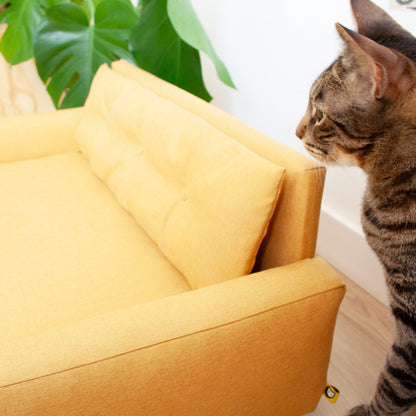 Sofá para gatos Misifú | Gatifica | mostaza