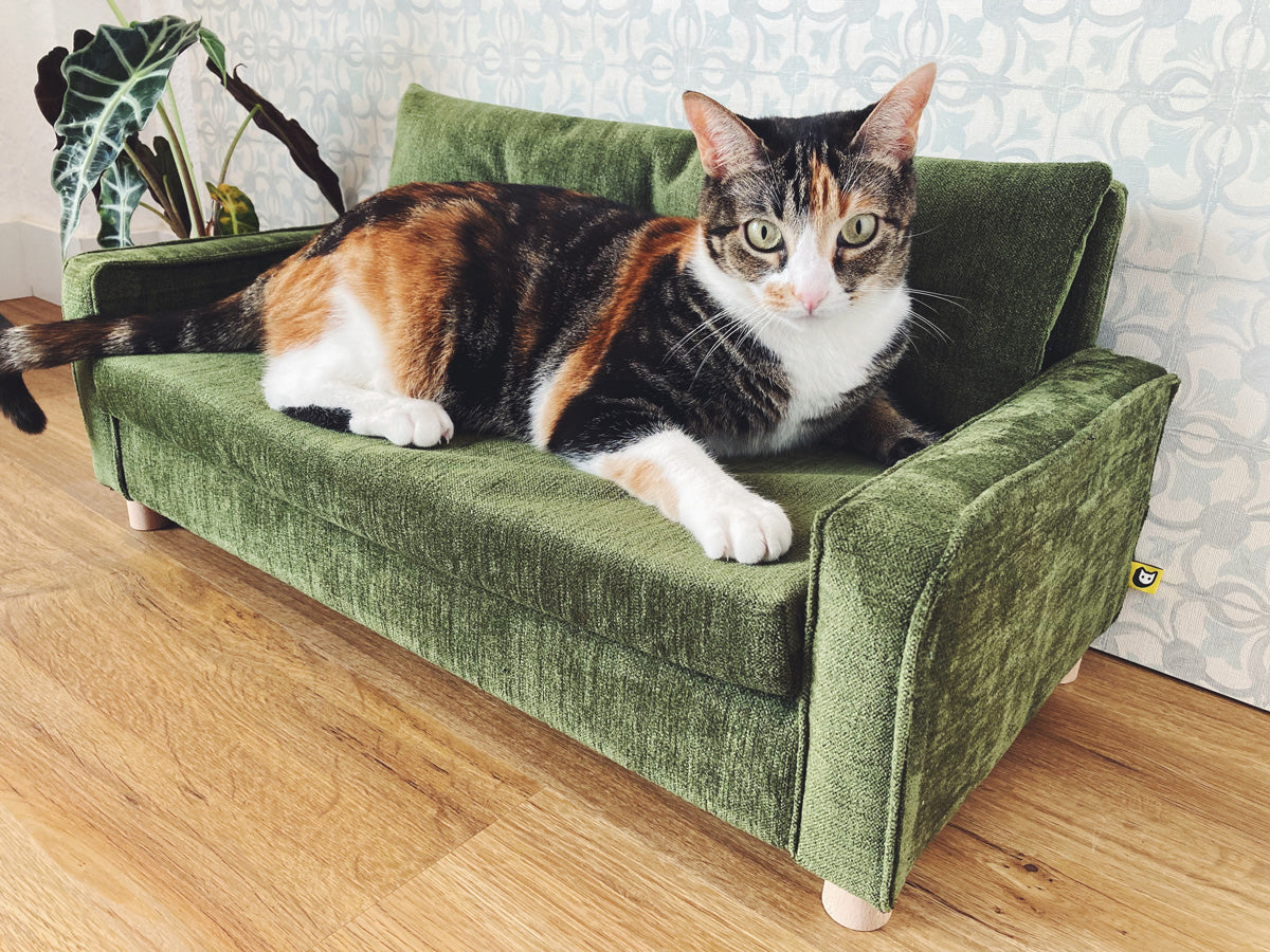 Sofá para gatos Misifú | Gatifica | verde