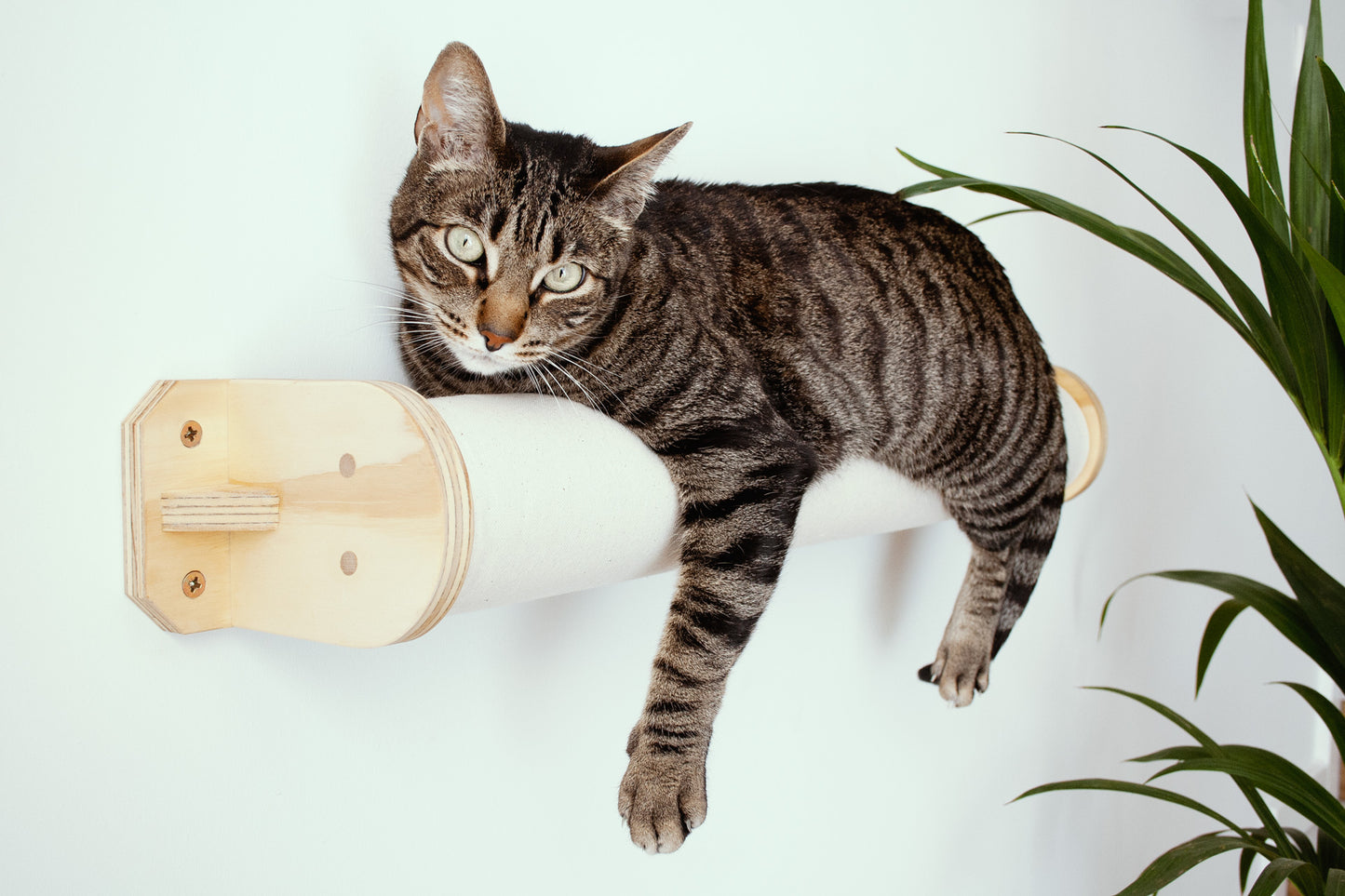 Fundas rulo CLEO gatifica - loneta beige claro