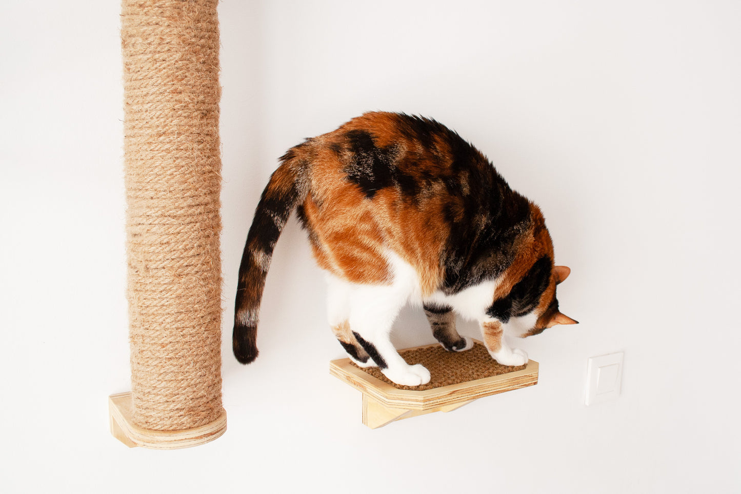 Escalón de madera para gatos - SIMBA