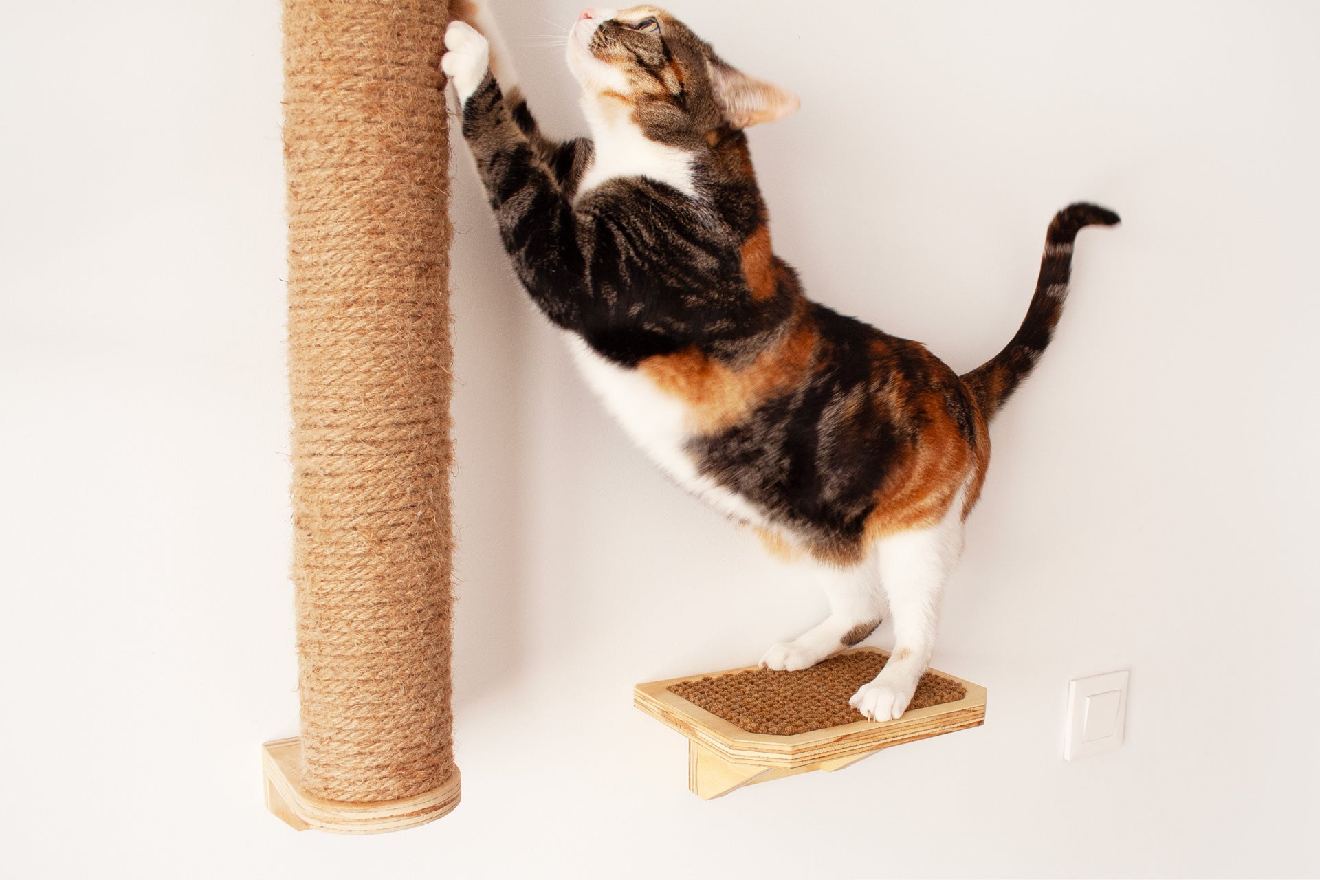 Escalón de madera para gatos - SIMBA