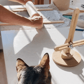 Manos trabajando el barro para crear la cerámica de Gatifica mientras un gato se acicala al sol en la misma mesa de trabajo