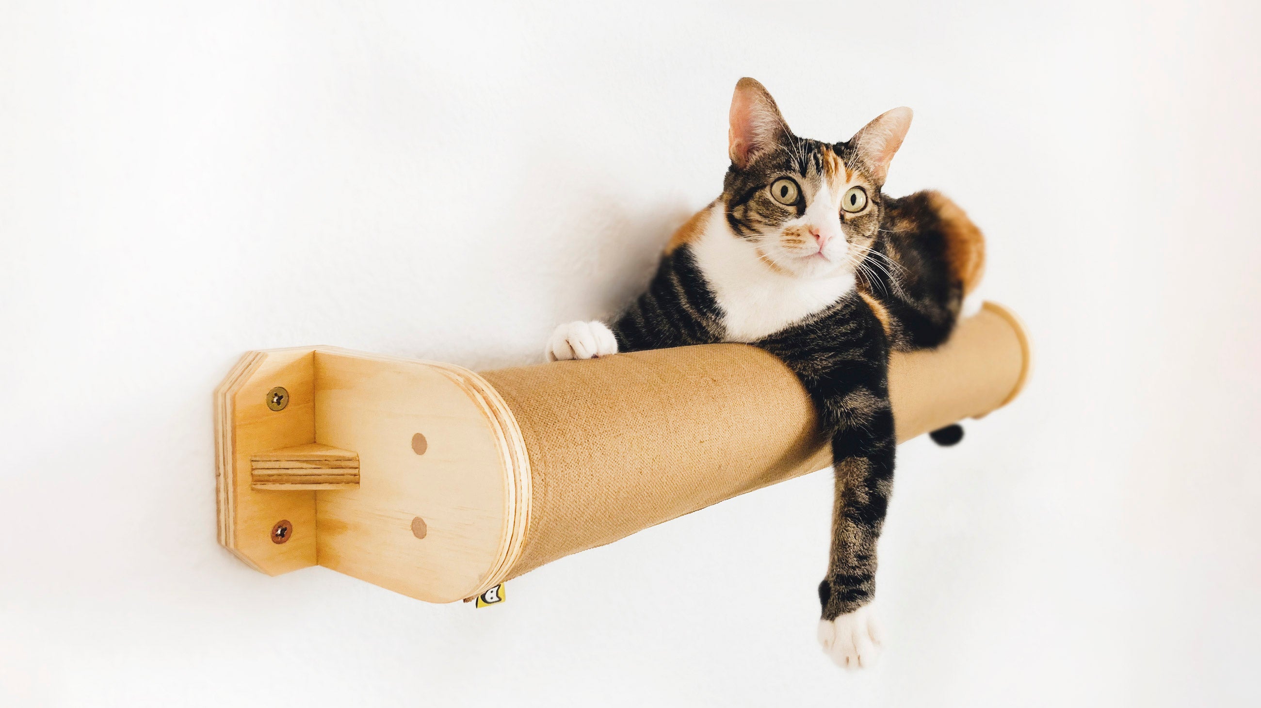 Cama de pared para gatos Rulo CLEO funda chenilla verde