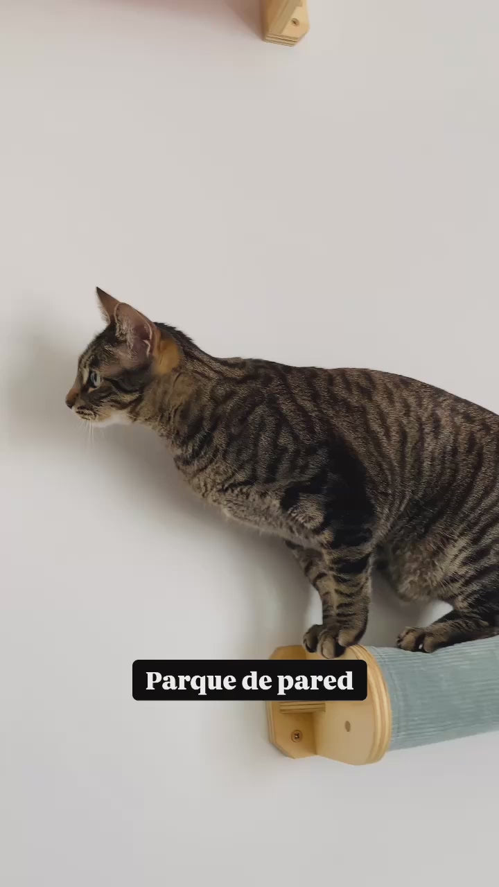 Parque de pared para gatos hecho a mano por Gatifica - Gatificación vertical con ahorro